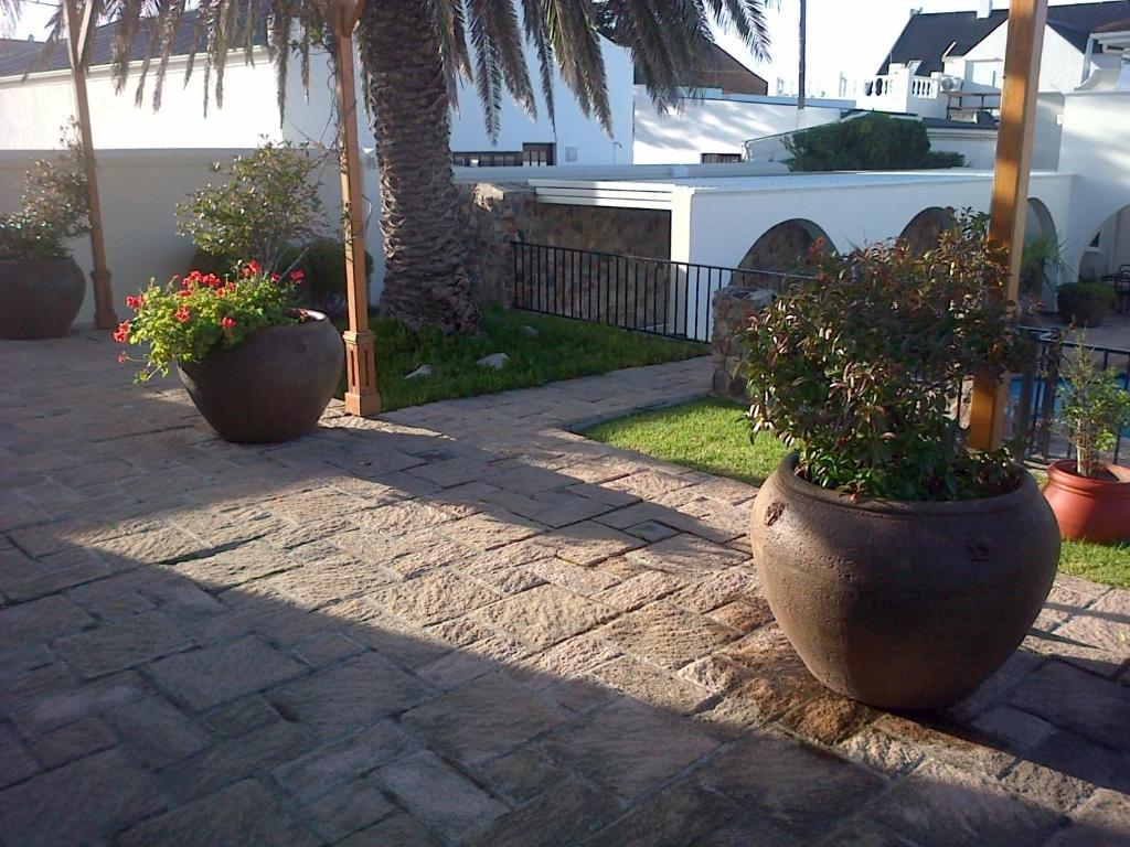 Nautilus Guest House Hermanus Exterior foto